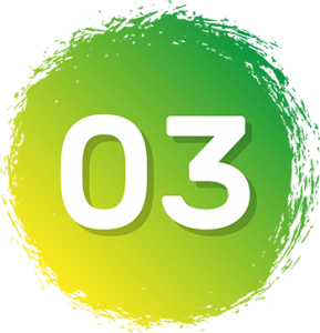 03